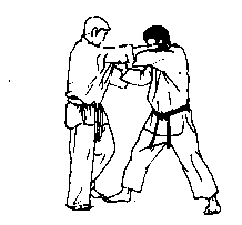 Kataguruma